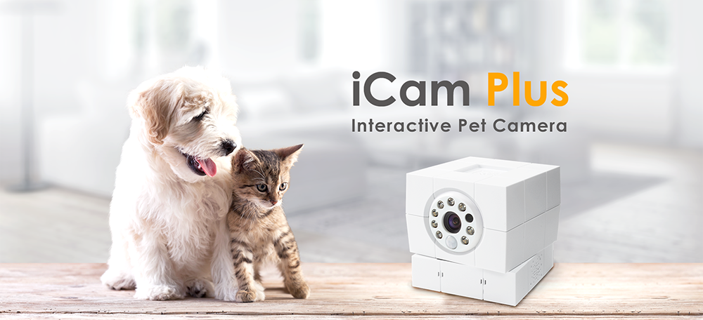 المنزل كاميرا مراقبة IP بالإضافة إلى الحيوانات