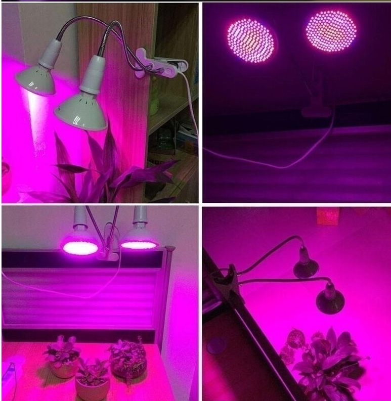 ضوء اصطناعي للنباتات