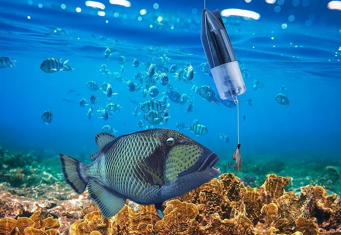 كاميرا الأسماك تحت الماء