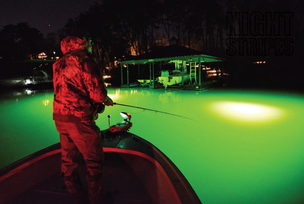 ضوء الأسماك الخضراء - الصيد الأخضر بقيادة تحت الماء